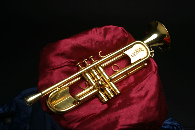 La Tromba Music  Professional models